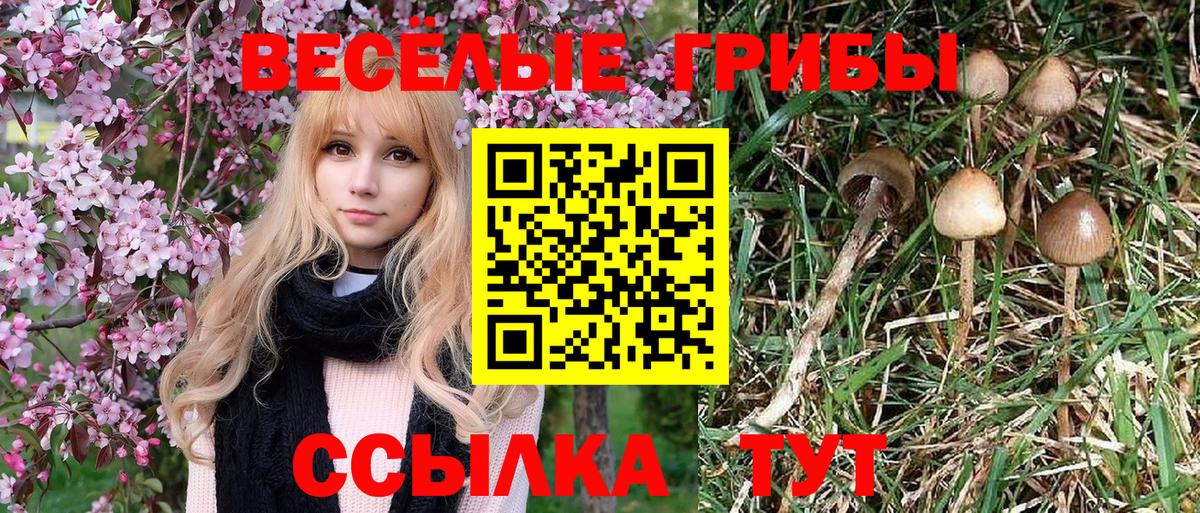  Cocaine Великий Устюг