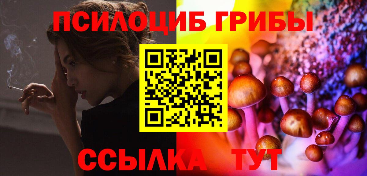 Галлюциногенные грибы Cubensis Великий Устюг