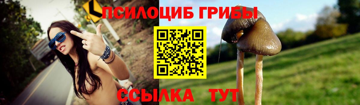 Галлюциногенные грибы GOLDEN TEACHER  Вход с VPN  Великий Устюг  Галлюциногенные грибы ЛСД 
